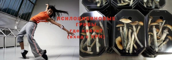 прущая мука Осташков