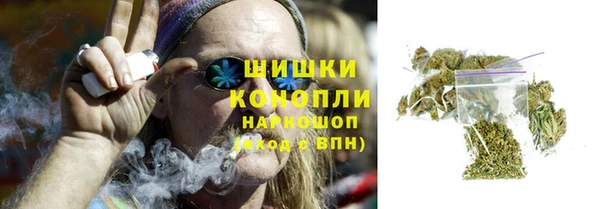 амф Осинники