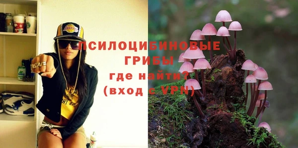 амф Осинники